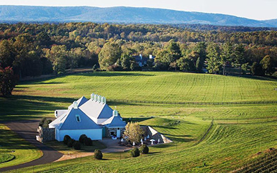 Boxwood Winery