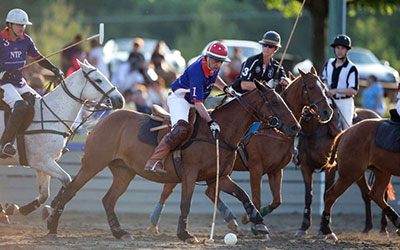 Twilight Polo School