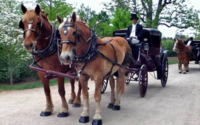 Harmon’s Hayrides and Carriages