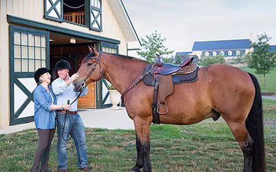 Salamander Resort Equestrian Programs