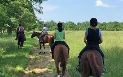 Serene Acres