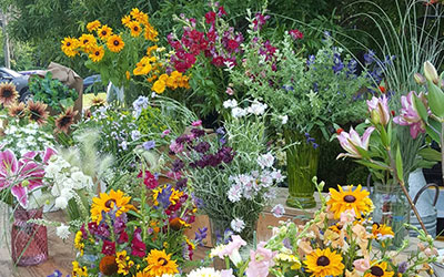 C & S Farmstead flowers