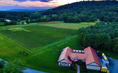 Walsh Family Wine