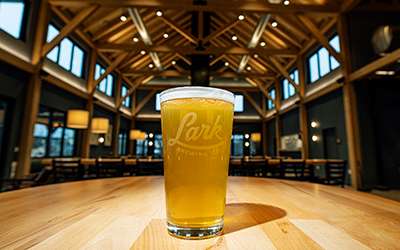 Lark Brewing Co. 