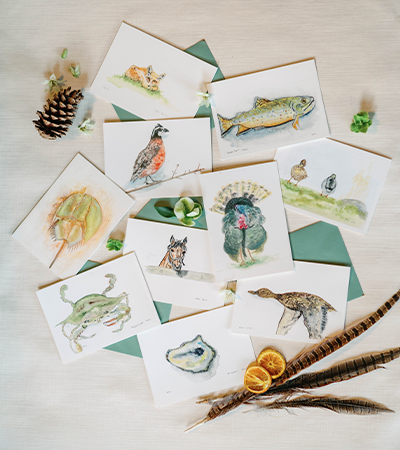 Animals of The Piedmont Notecards